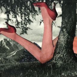Fallen Mrs. OZ, 21 x 10 cm, 2023
