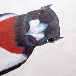 Klaus, Ölfarbe auf Karton, 21 x 21 cm, 2019