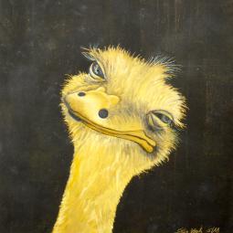 Olli, Ölfarbe auf Karton, 21 x 21 cm, 2018