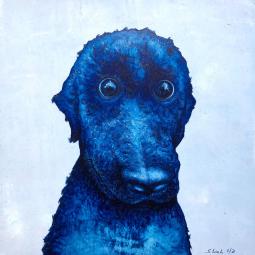 Sammy, Ölfarbe auf Karton, 21 x 21 cm, 2021